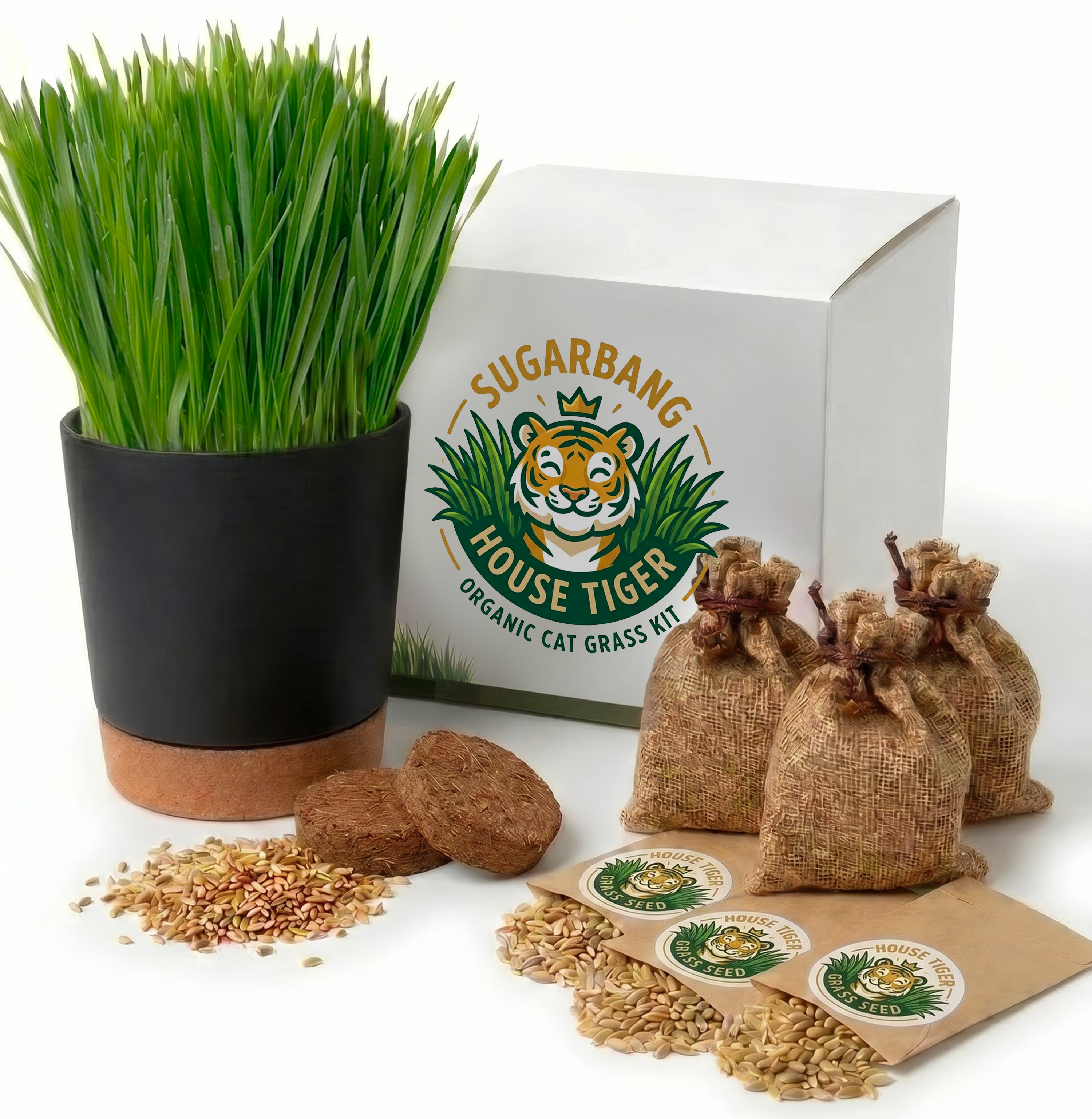Cat Grass Starter Bundle