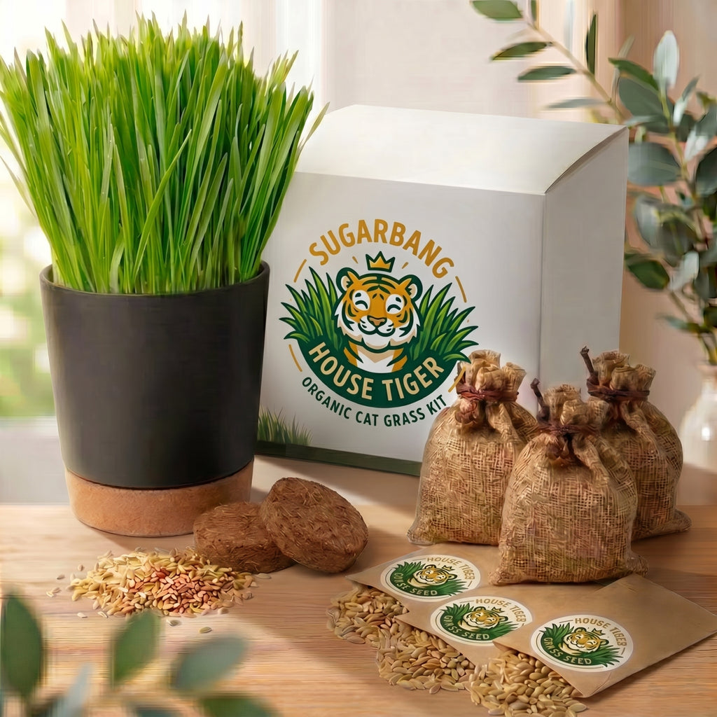 Cat Grass Starter Bundle