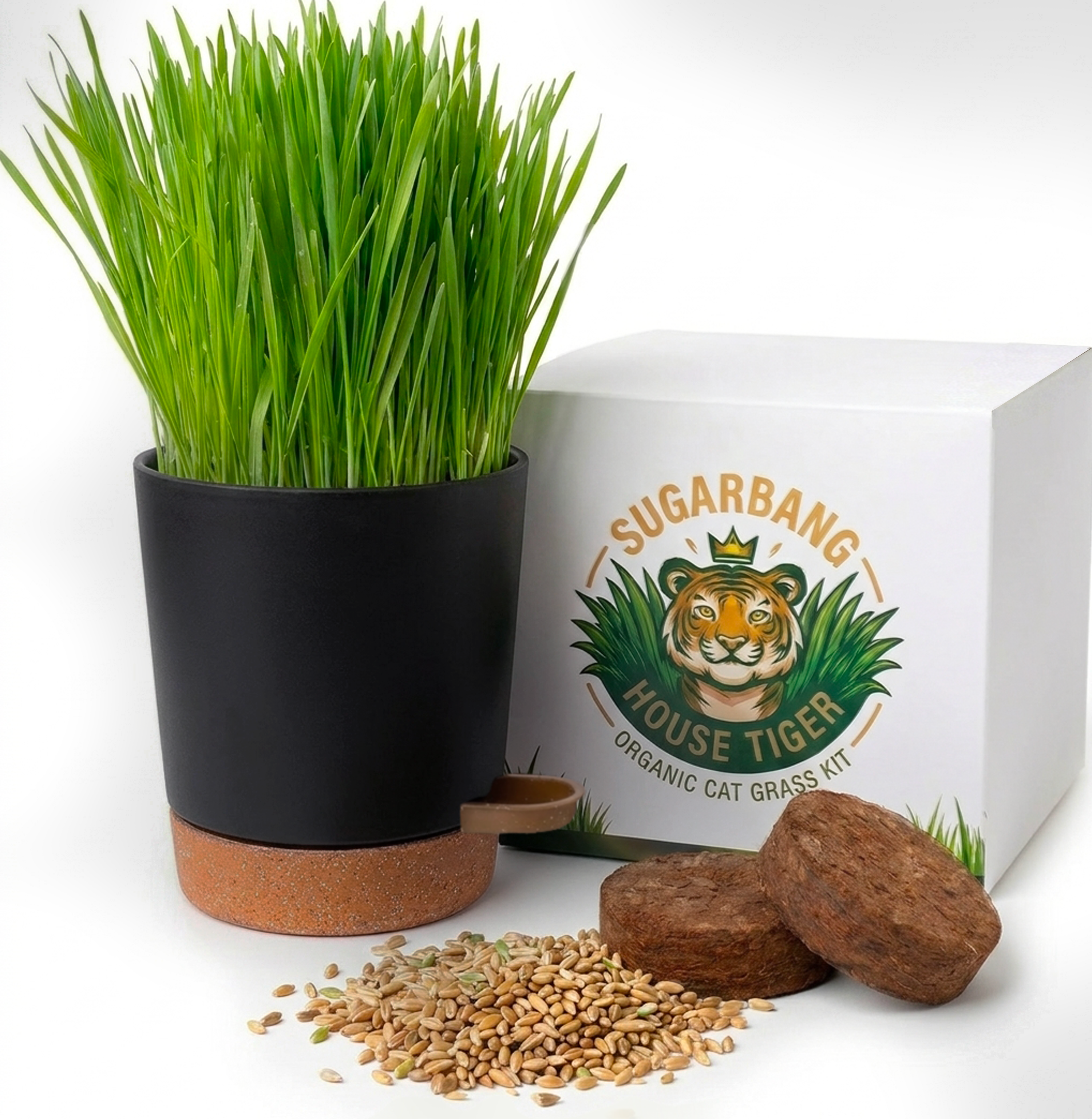 Organic Cat Grass Kit