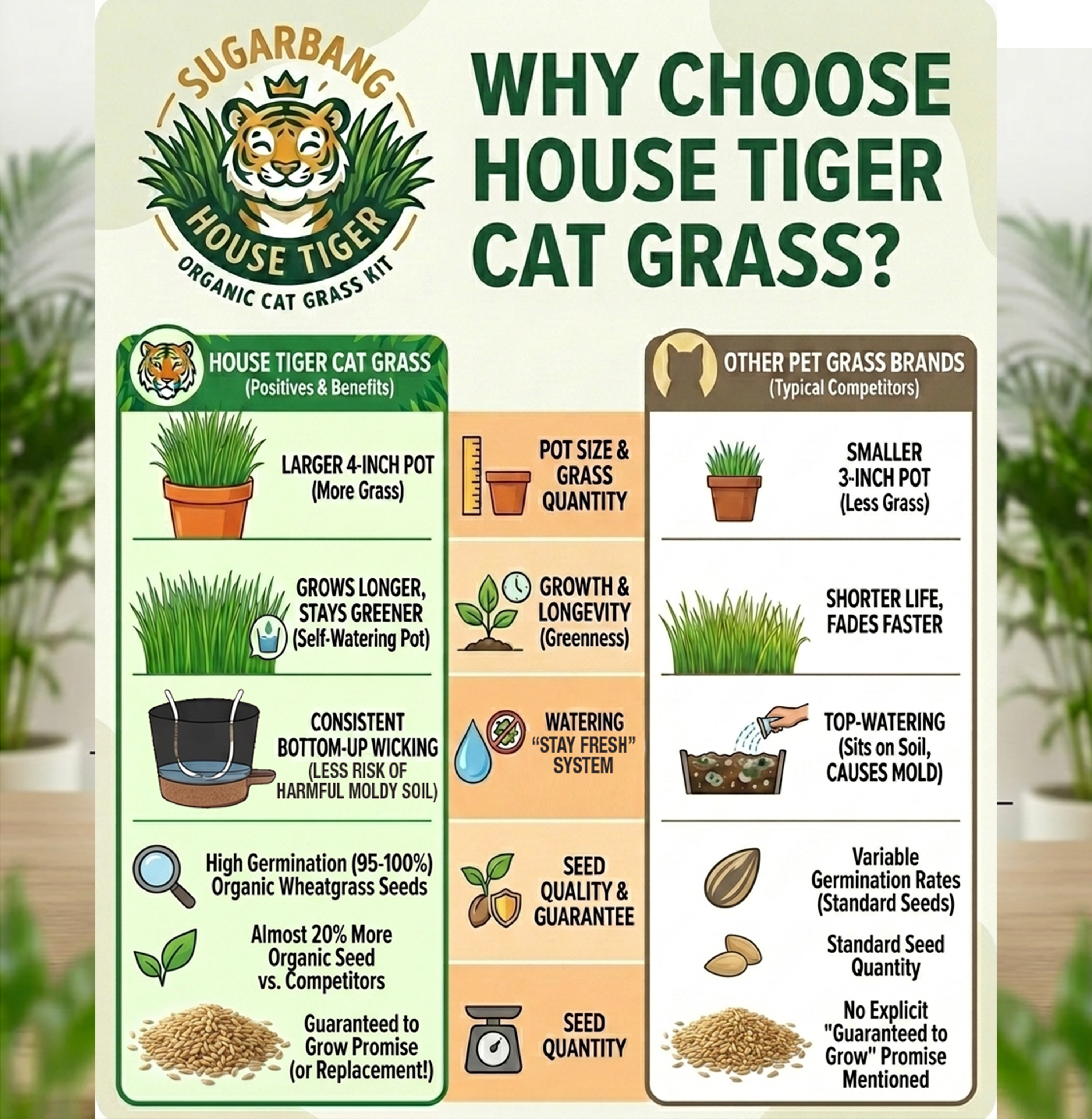 House Tiger Organic Cat Grass Kit for Indoor Cats