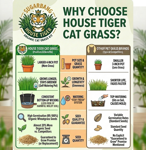 House Tiger Organic Cat Grass Kit for Indoor Cats