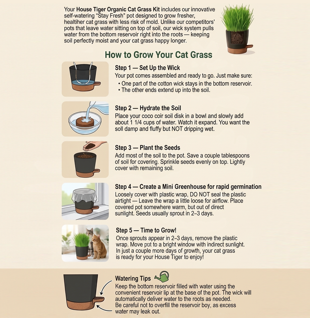 House Tiger Organic Cat Grass Kit for Indoor Cats