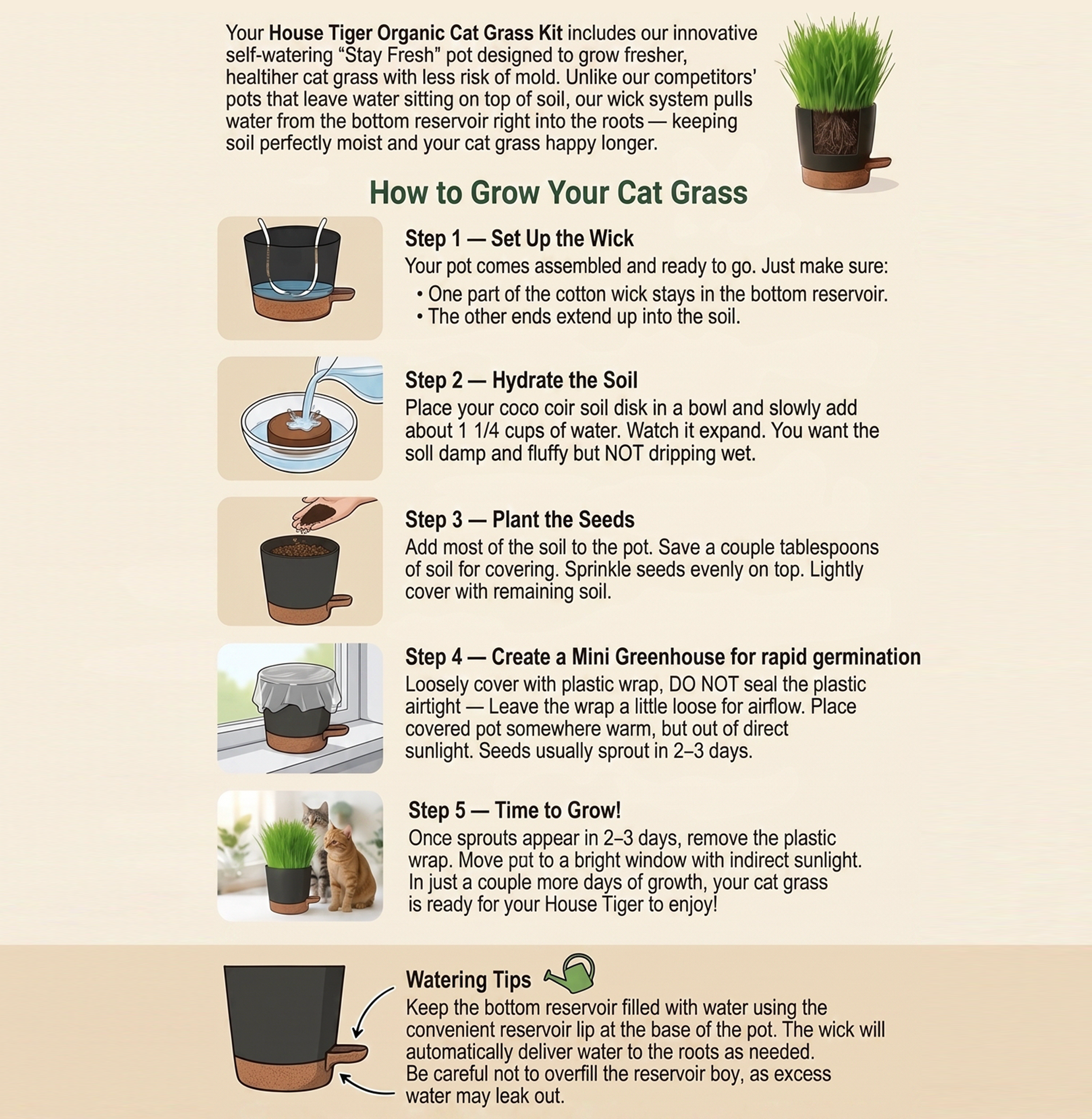 House Tiger Organic Cat Grass Kit for Indoor Cats