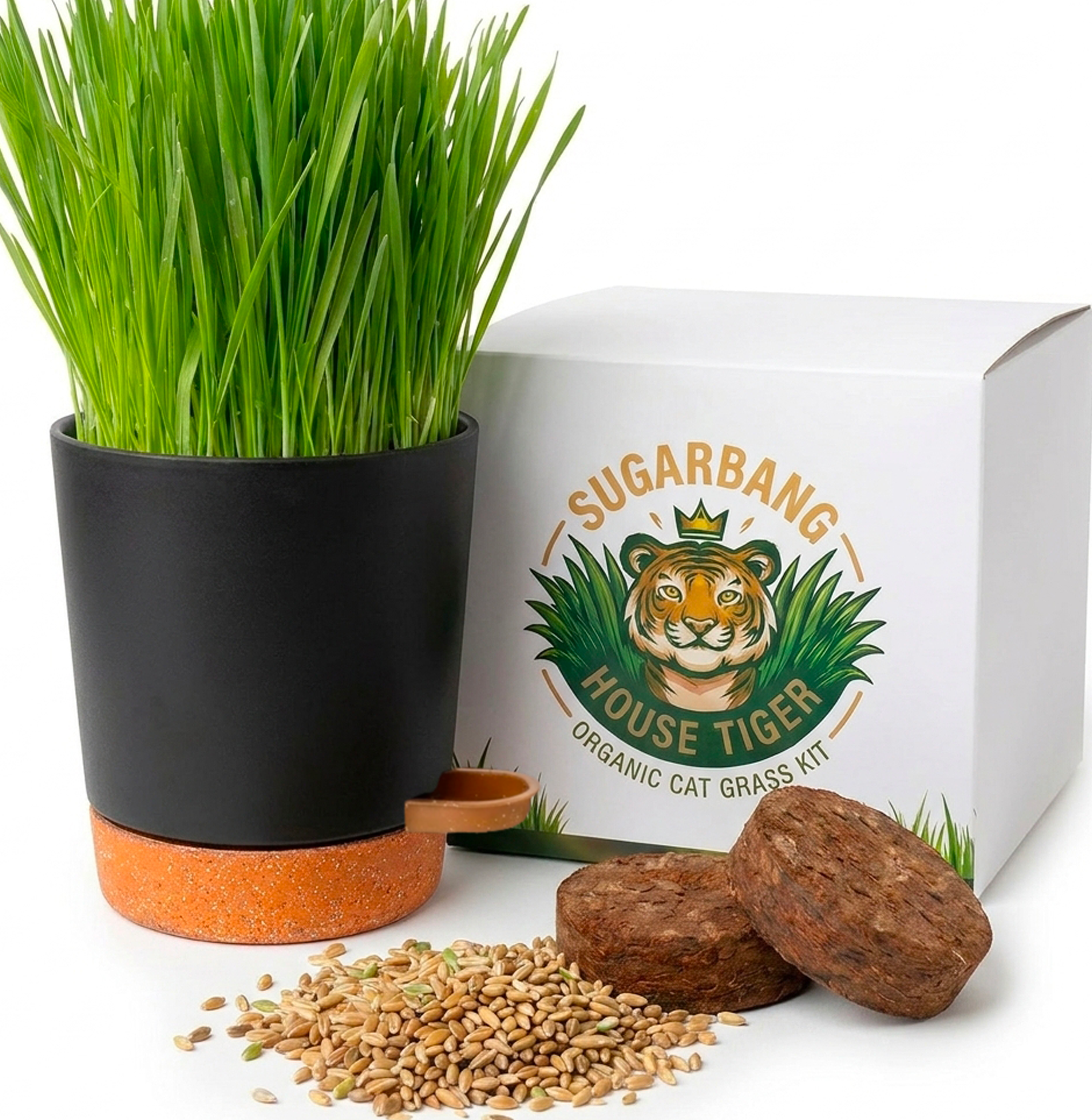 Organic Cat Grass Kit