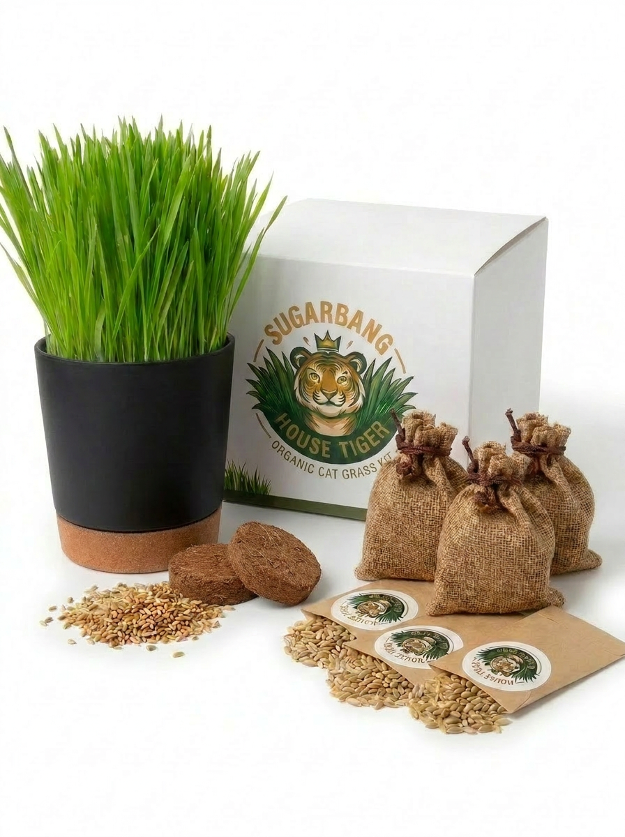 Cat Grass Starter Bundle