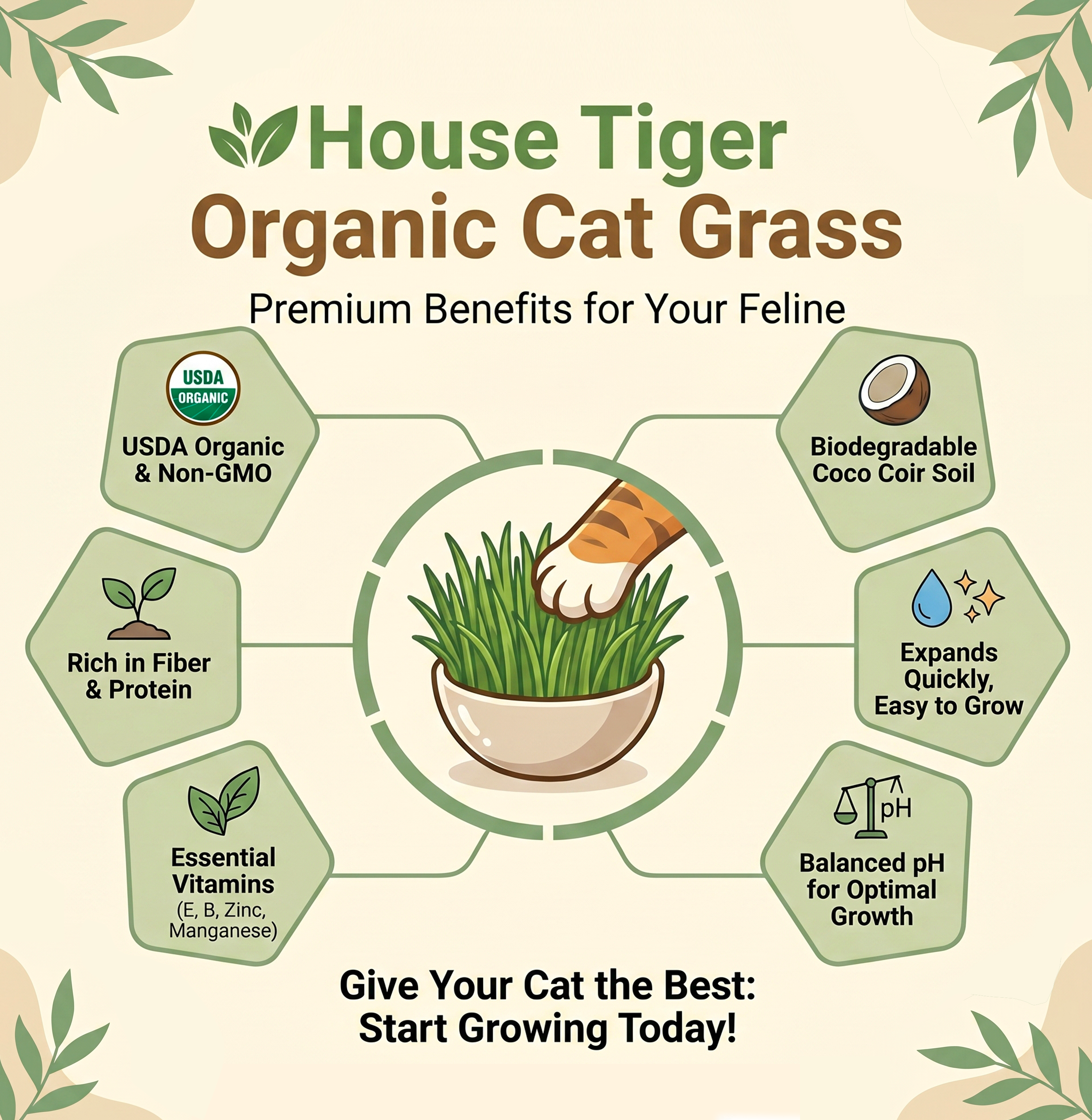 Cat Grass Refill 3-Pack