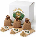 Cat Grass Refill 3-Pack
